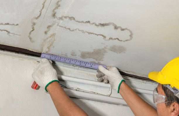 Reliable Mold Remediation contractor in Hanover, NH by Local Water Damage Repair